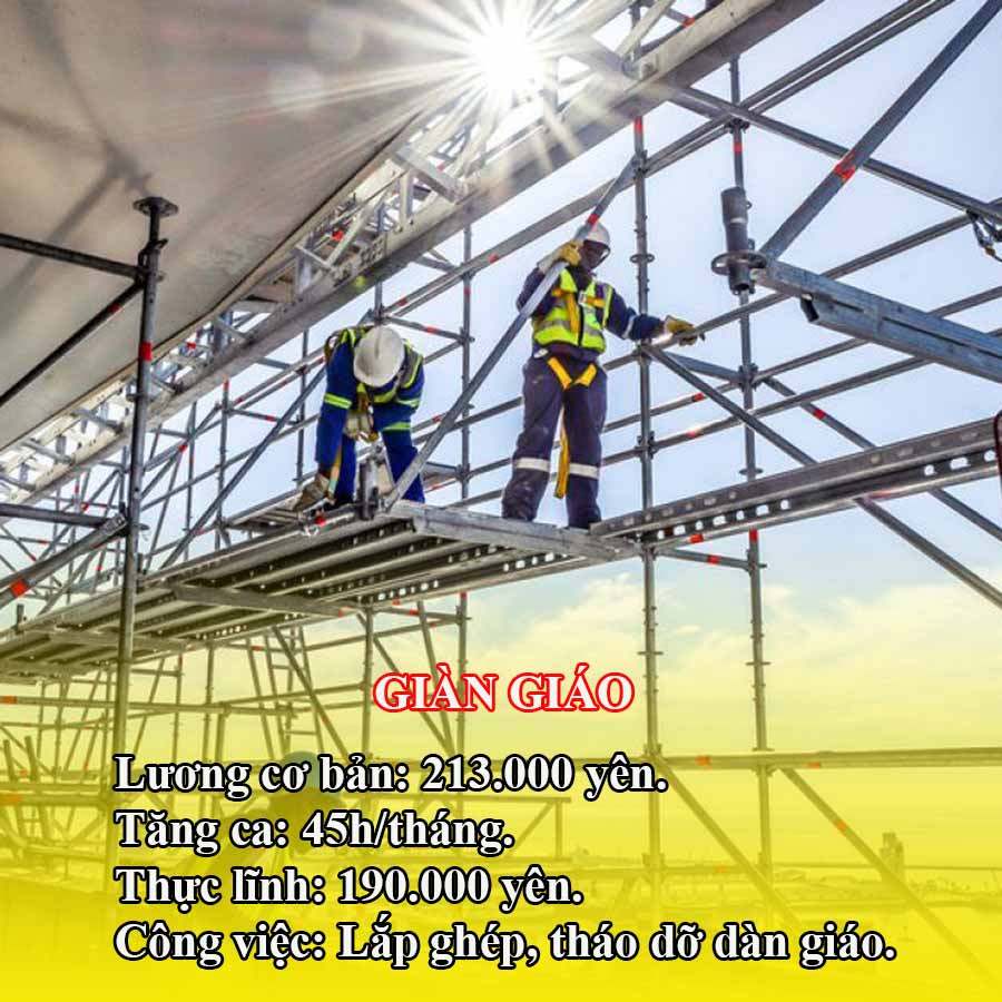 Đơn Xây Dựng Lương Cao, Tuyển Gấp